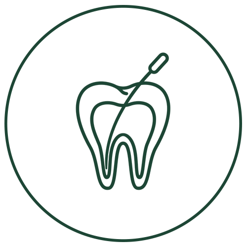 endodontia